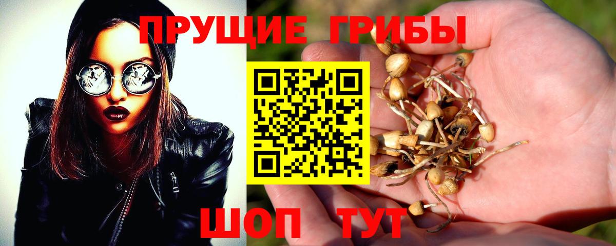 Усинск  что такое   Вход с VPN  Псилоцибиновые грибы Magic Shrooms 